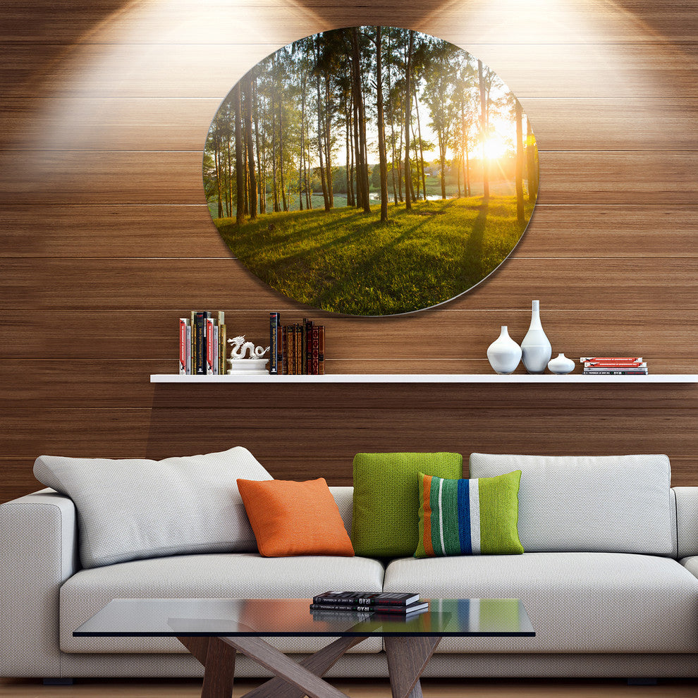 Bright Sunlight In Dense Forest, Landscape Disc Metal Wall Art, 23"