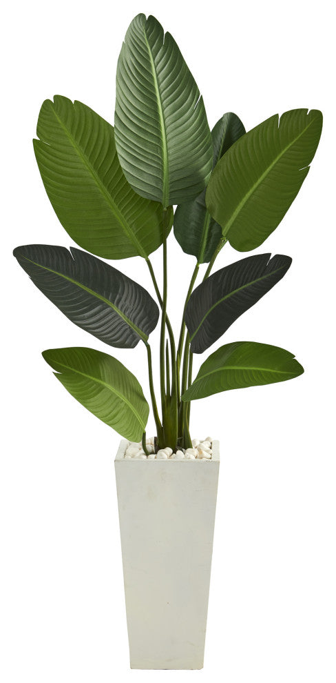 5' Travelers Palm Artificial Tree, Tall White Planter