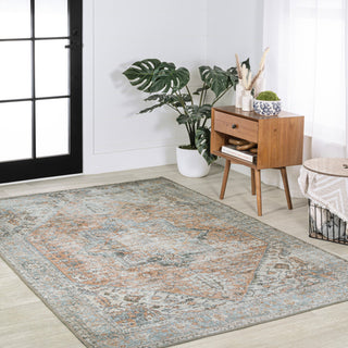 Armae Distressed Chenille Machine-Washable Rug, Terra/Blue, 5 X 8