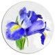 Blue Iris Illustration Watercolor, Floral Round Metal Wall Art, 23"