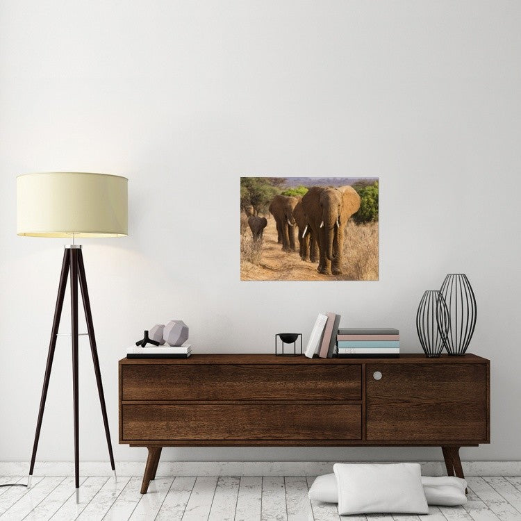 "Herd of African Elephants, Kenya" Stretched Canvas Giclee by Anonymous, 32x24"