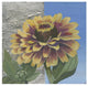 "Zinnia Spice" Digital Paper Print by Kathrine Lovell, 32"x32"
