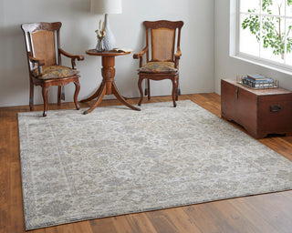 Neoma Traditional Bordered, Ivory/Tan/Gray, 7'9"x10' Area Rug