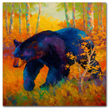 Marion Rose 'In To Spring Black Bear' Canvas Art, 35" x 35"