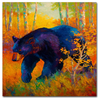 Marion Rose 'In To Spring Black Bear' Canvas Art, 35" x 35"
