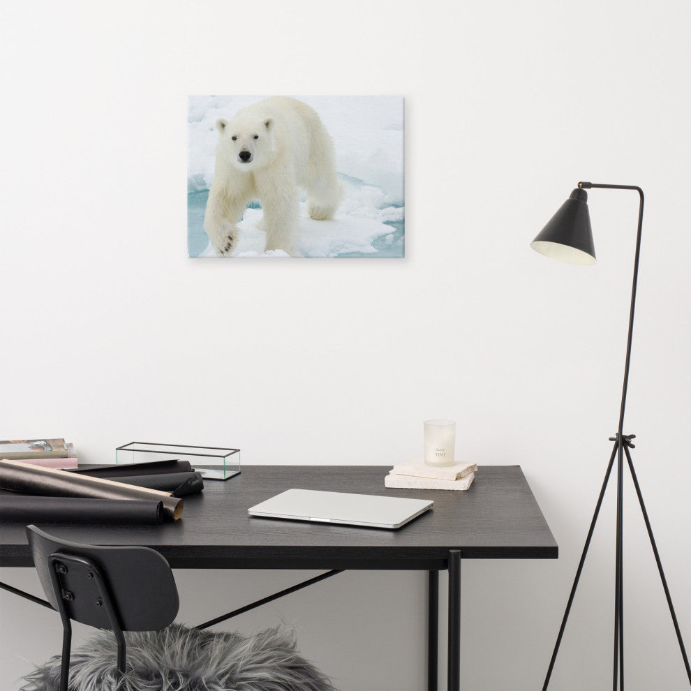 Giant White Polar Bear Walking On Icy Lake Wildlife Photo Canvas Wall Art Print, 18" X 24"