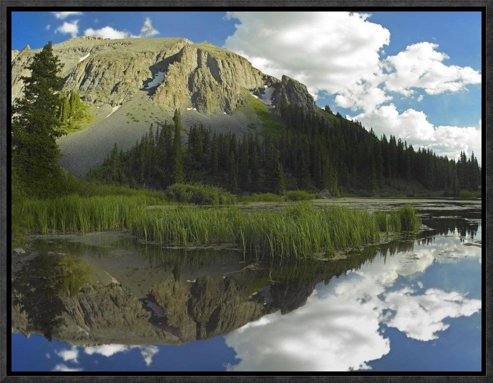 "Palmyra Peak reflected in Alta Lake, Colorado"  by Tim Fitzharris, 17x13"