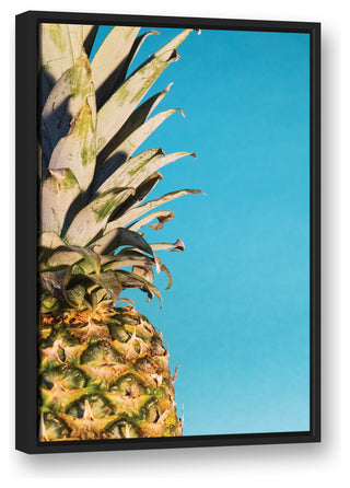 Large Pineapple Blue 20x30 Black Floating Framed Canvas