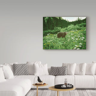 Ron Parker 'Old Man Of The Mountain Black Bear' Canvas Art, 47"x35"