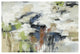 "Highline View" Digital Paper Print by Silvia Vassileva, 50"x34"