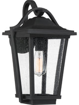 Darius 1-Light Outdoor Lantern, Earth Black