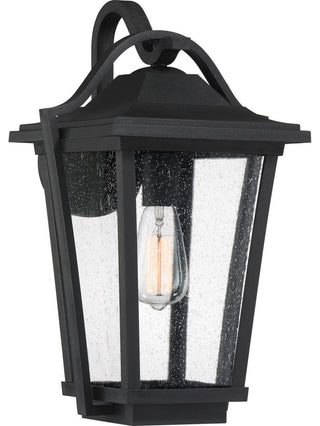 Darius 1-Light Outdoor Lantern, Earth Black
