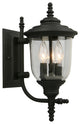 Eglo 3x60w Outdoor Wall Light W/ Matte Black Finish And Clear Seeded Glass - 202