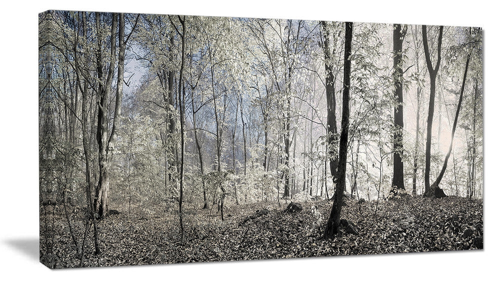 Dark Morning in Forest Panorama, Landscape Canvas Art Print, 32"x16"