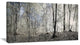 Dark Morning in Forest Panorama, Landscape Canvas Art Print, 32"x16"