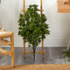 2.5' Tea Leaf Artificial Plant UV Resistant, Indoor/Outdoor