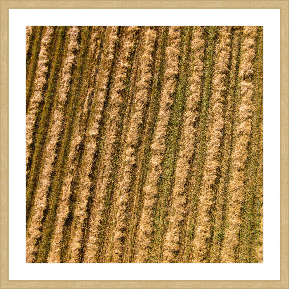 "Tilled Field" Framed Print by Karolis Janulis