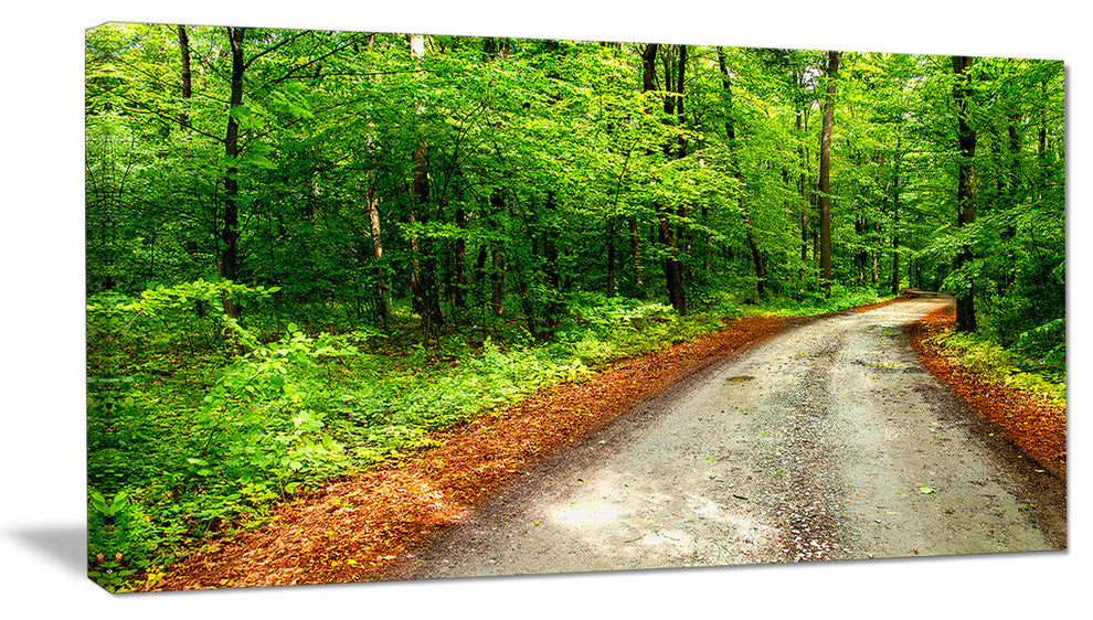 "Pathway in Deep Moss Forest" Landscape Art Print Canvas, 40"x20"