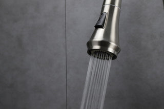 Garbatella Brass Kitchen Faucet w/ Pull Out Sprayer, Brushed Nickel