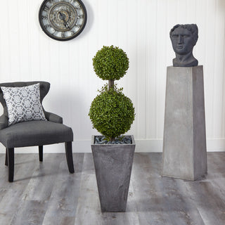 Lifestyle image: product shown in a real room with furniture; full topiary visible.
