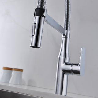 Dowell 8002/016 Series Single Handle Kitchen Faucet/Sprayer Chrome