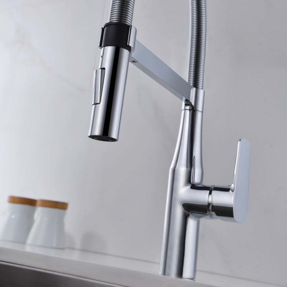 Dowell 8002/016 Series Single Handle Kitchen Faucet/Sprayer Chrome