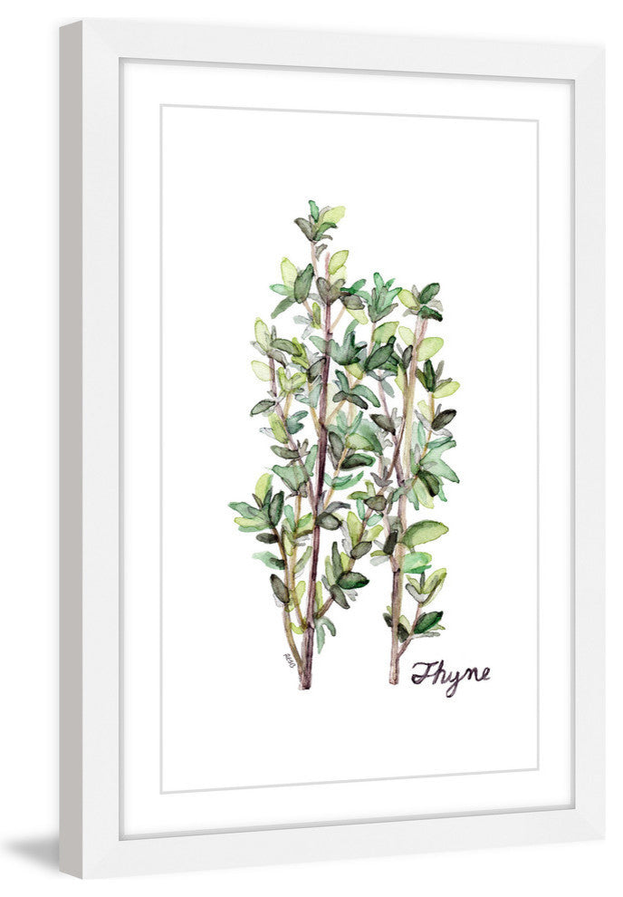 "Herb Thyme" Framed Print by Rachel Byler