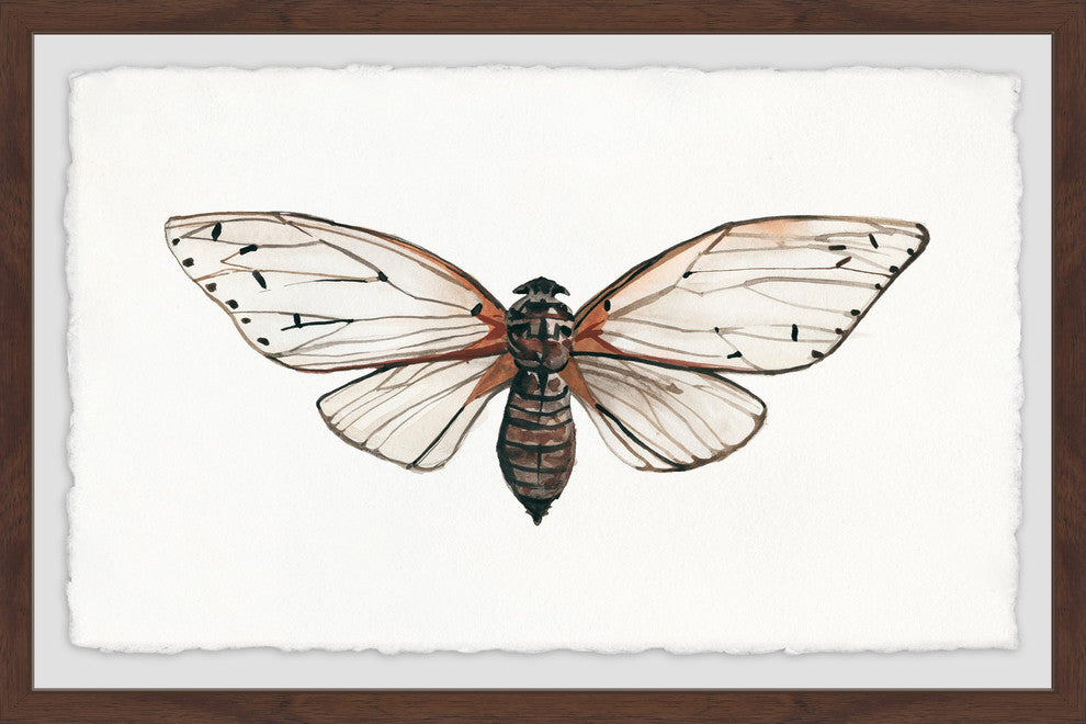 "Tan Butterfly" Framed Painting Print, 36"x24"