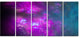 Purple Blue Starry Fractal Sky, Abstract Canvas Art Print, 60"x28", 5 Panels