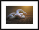 "The White Legend" Framed Digital Print by Shikhei Goh, 26"x20"