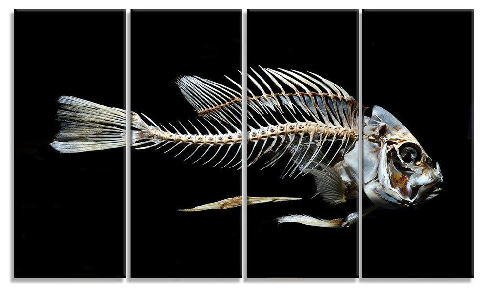 Fish Skeleton Bone on Black, Animal Canvas Art Print, 48"x28", 4 Panels