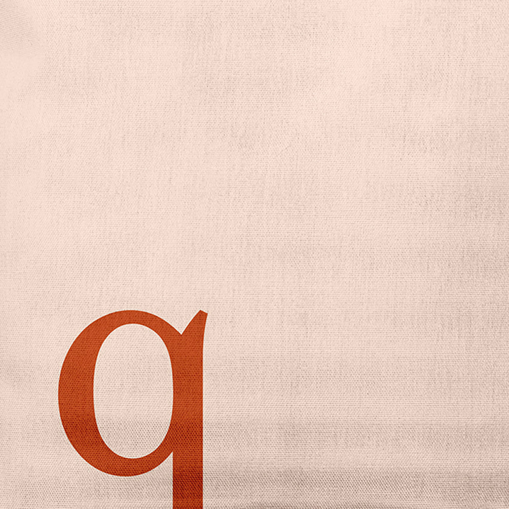 18" x 18" Modern Monogram Indoor/Outdoor Polyester Throw Pillow, Sienna