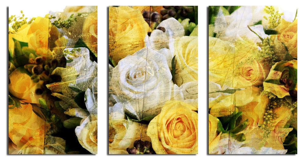Abstract Rose Study Canvas Wall Art, 3-Piece Set