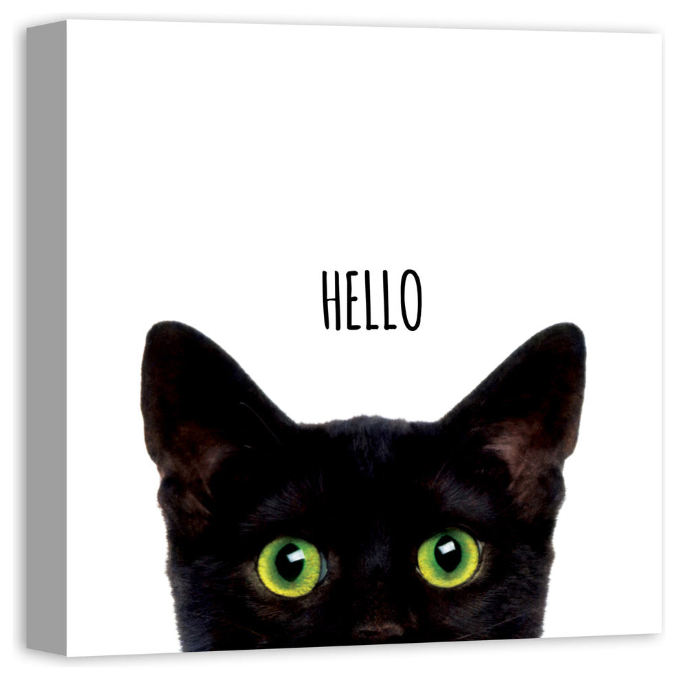 Designs Direct Curious Hello Black Cat 20x20 Canvas Wall Art
