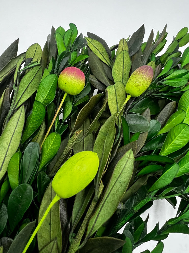 Preserved Decorative Real Boxwood Leaf and Olive Leaf Wreath 21" Green