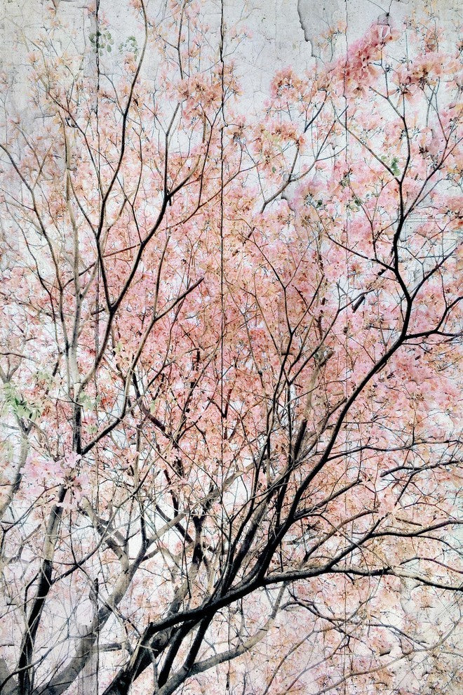 "Scent of Spring" Painting Print on Wrapped Canvas, 12x18