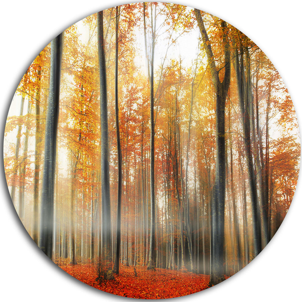 Red And Yellow Leaves In Fall, Landscape Photo Disc Metal Wall Art, 11"