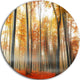 Red And Yellow Leaves In Fall, Landscape Photo Disc Metal Wall Art, 11"