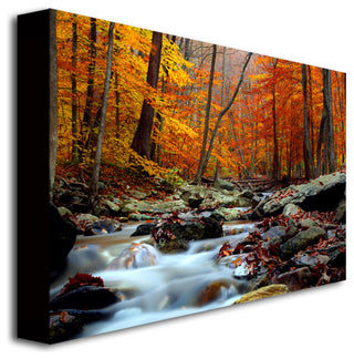 'Ultimate Truth' Canvas Art by CATeyes