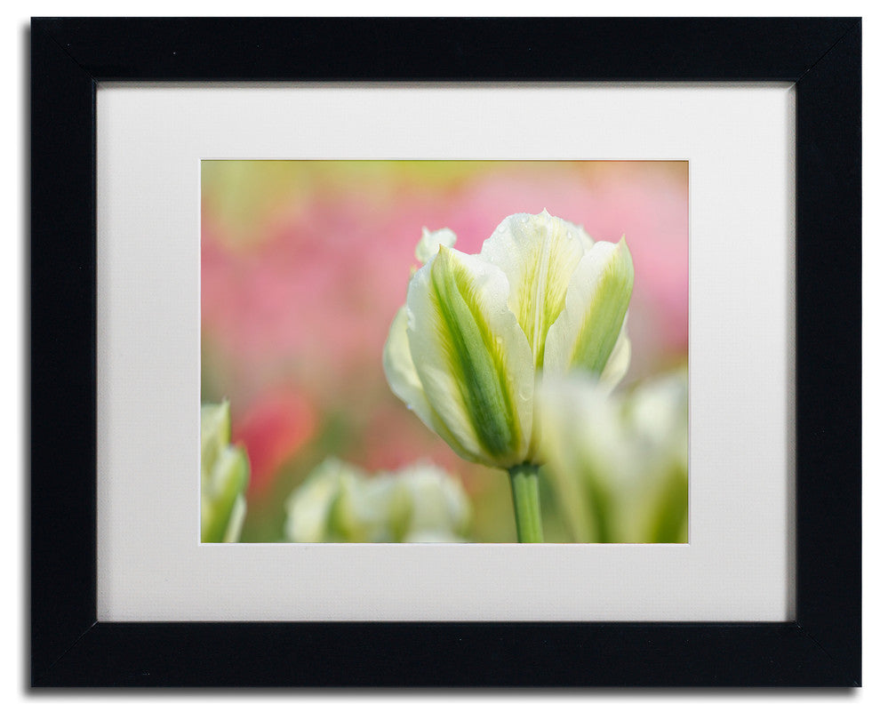 Cora Niele 'White and Green Tulip' Matted Framed Art