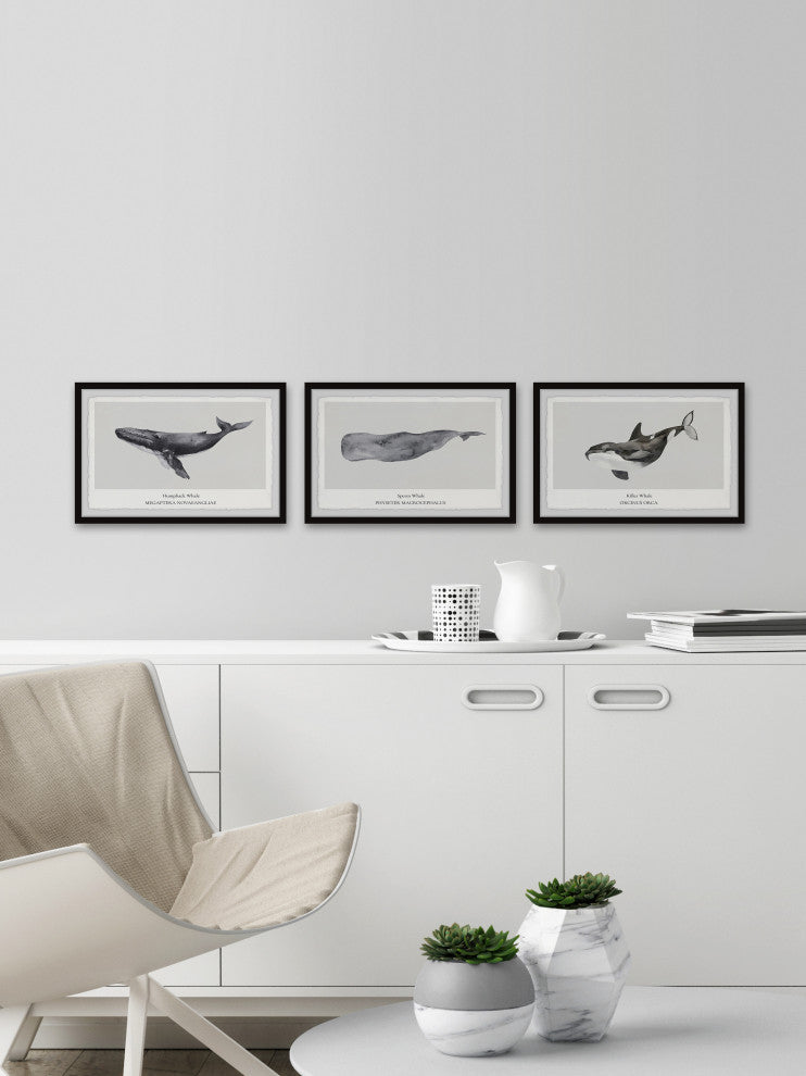 Sperm and Killer Whale Triptych, 3-Piece Set, 45x30 Panels