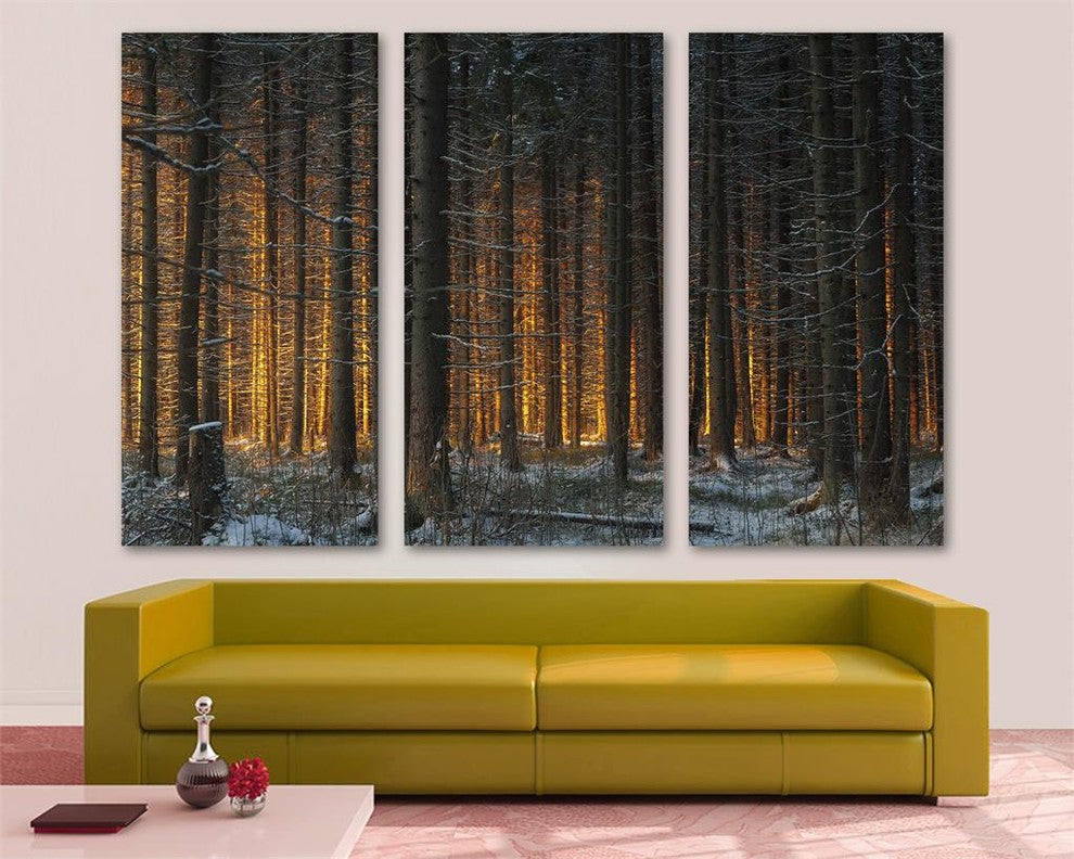 Yellow Sunlight in Dark Forest, 3-Panel Canvas Print Wall Art, 48"x32"