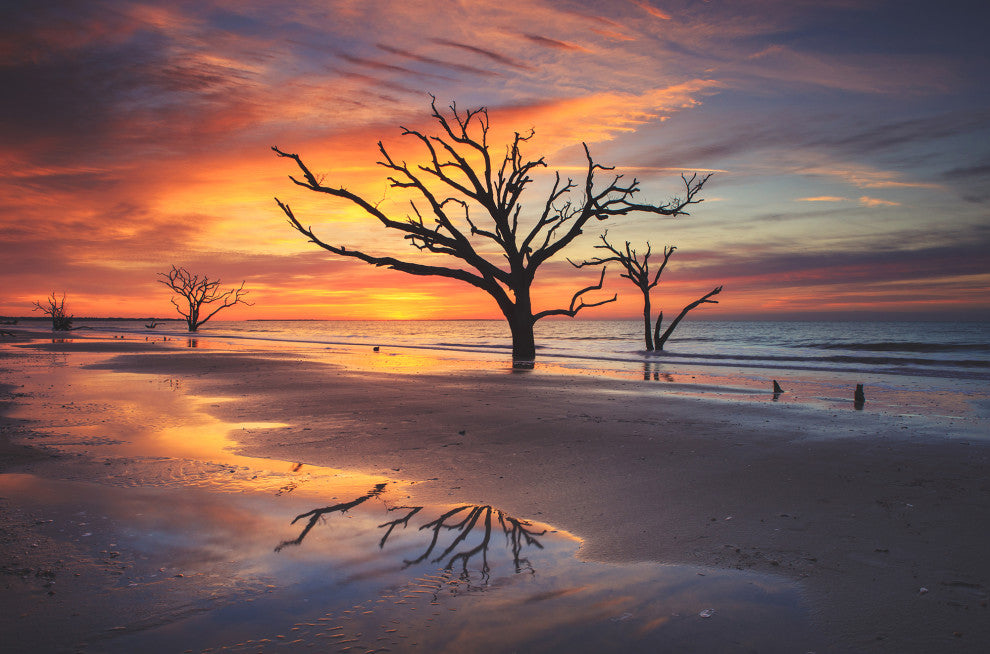 Sunrise & Trees At Edisto Island Coastal Landscape Photo Canvas Wall Art Print, 24" X 36"