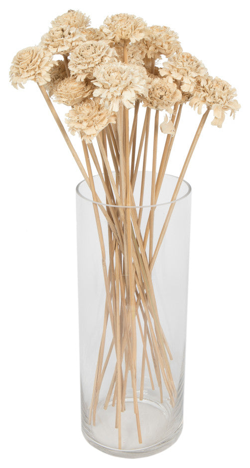 Vickerman Natural Botanicals 1.57" Cedar Rose, Bleached, 18"