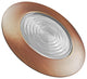 NICOR 6" Recessed Fresnel Shower Trim, Bronze