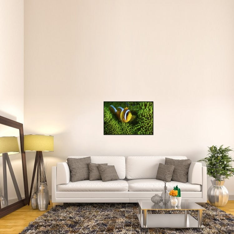 "Yellow Clownfish On Green Anemon"  by Barathieu Gabriel, 37x25"