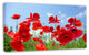 Close Up of Amazing Poppy Flowers, Floral Canvas Art Print, 32"x16"