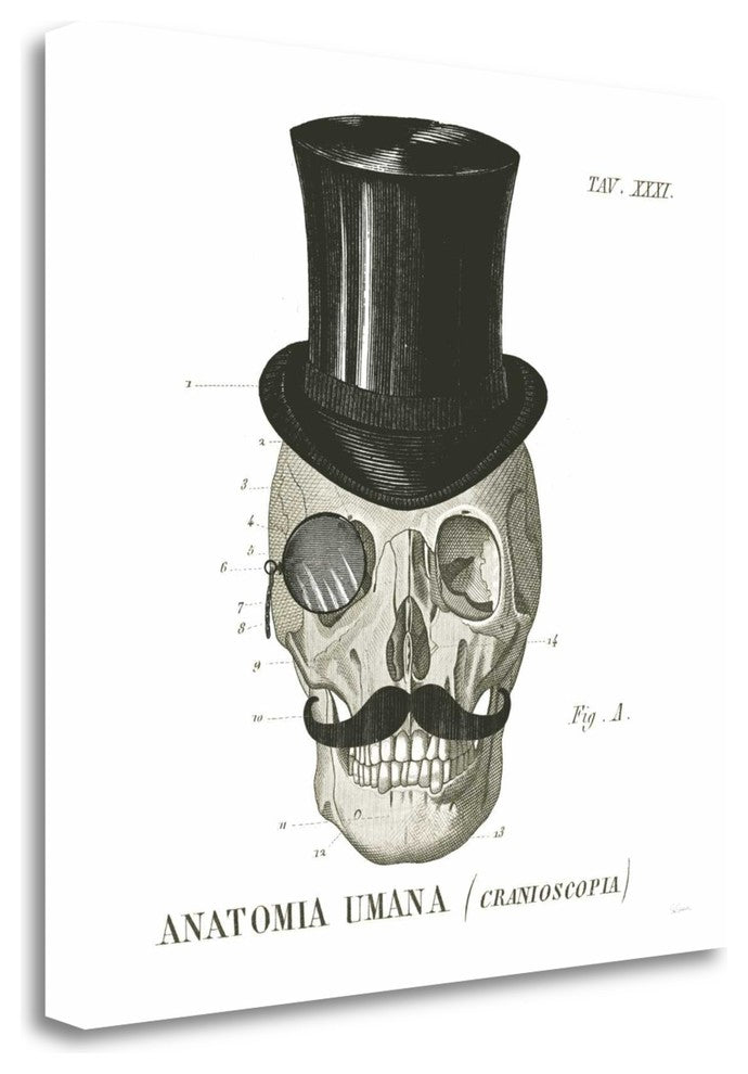 "Dandy Bones I" By Sue Schlabach, Giclee Print on Gallery Wrap Canvas