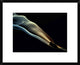 "Silk" Framed Digital Print by Aida Ianeva, 24x20"
