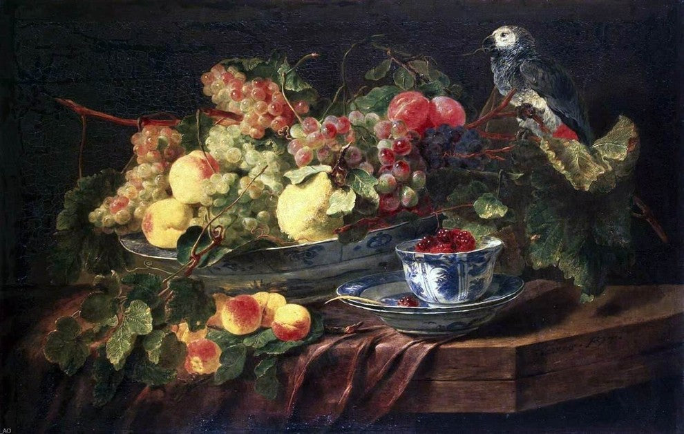 Jan Fyt Still-life with Fruits and Parrot - 18" x 27" Premium Canvas Print